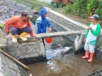 IMG-20260717-WA0020